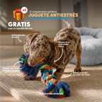 Cama memory foam antiestrés para perros Dog Dreams ARG