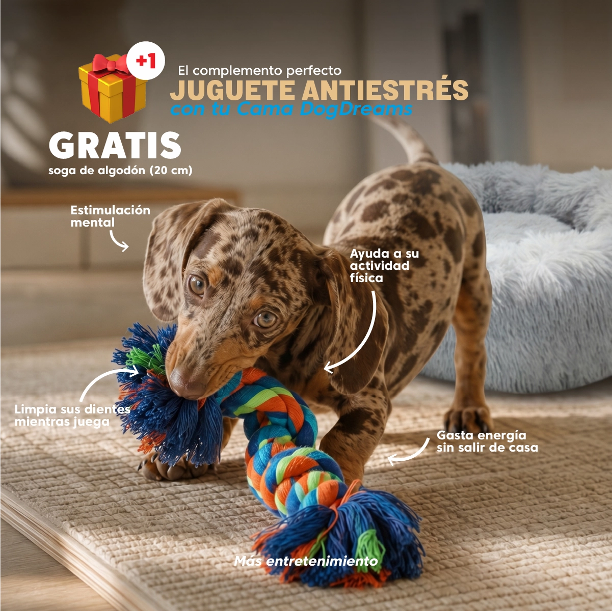 Cama memory foam antiestrés para perros Dog Dreams ARG