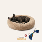 Cama DogDreams™ - Super rellena Antiestrés Funda desmontable