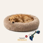 Cama DogDreams™ - Super rellena Antiestrés Funda desmontable