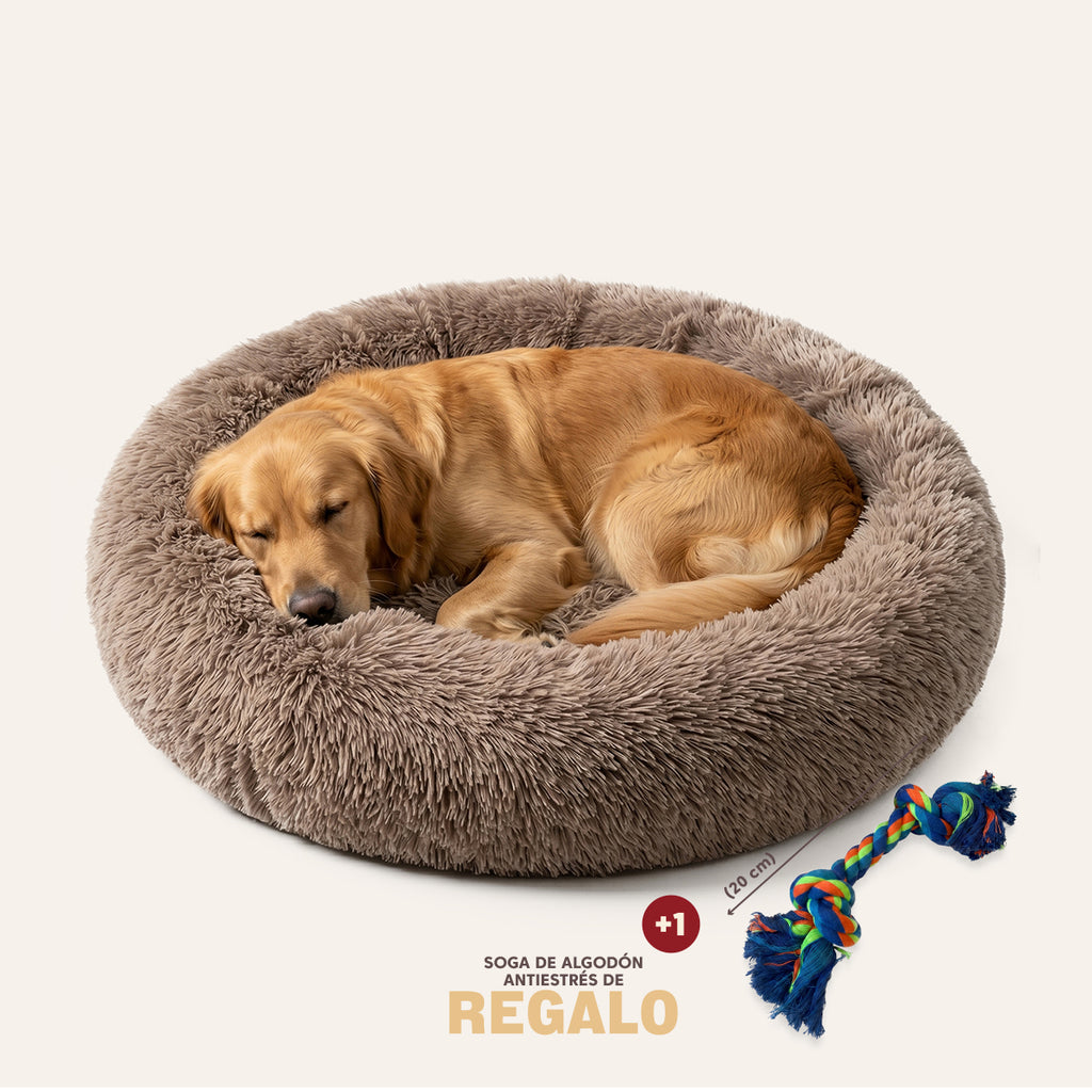 Cama DogDreams™ - Super rellena Antiestrés Funda desmontable